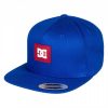 DC Kids Snapdoodle Cap Sodalite Blue