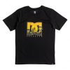 DC Kids Big City t-shirt