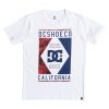 DC Kids Wanderer T-Shirt Vit